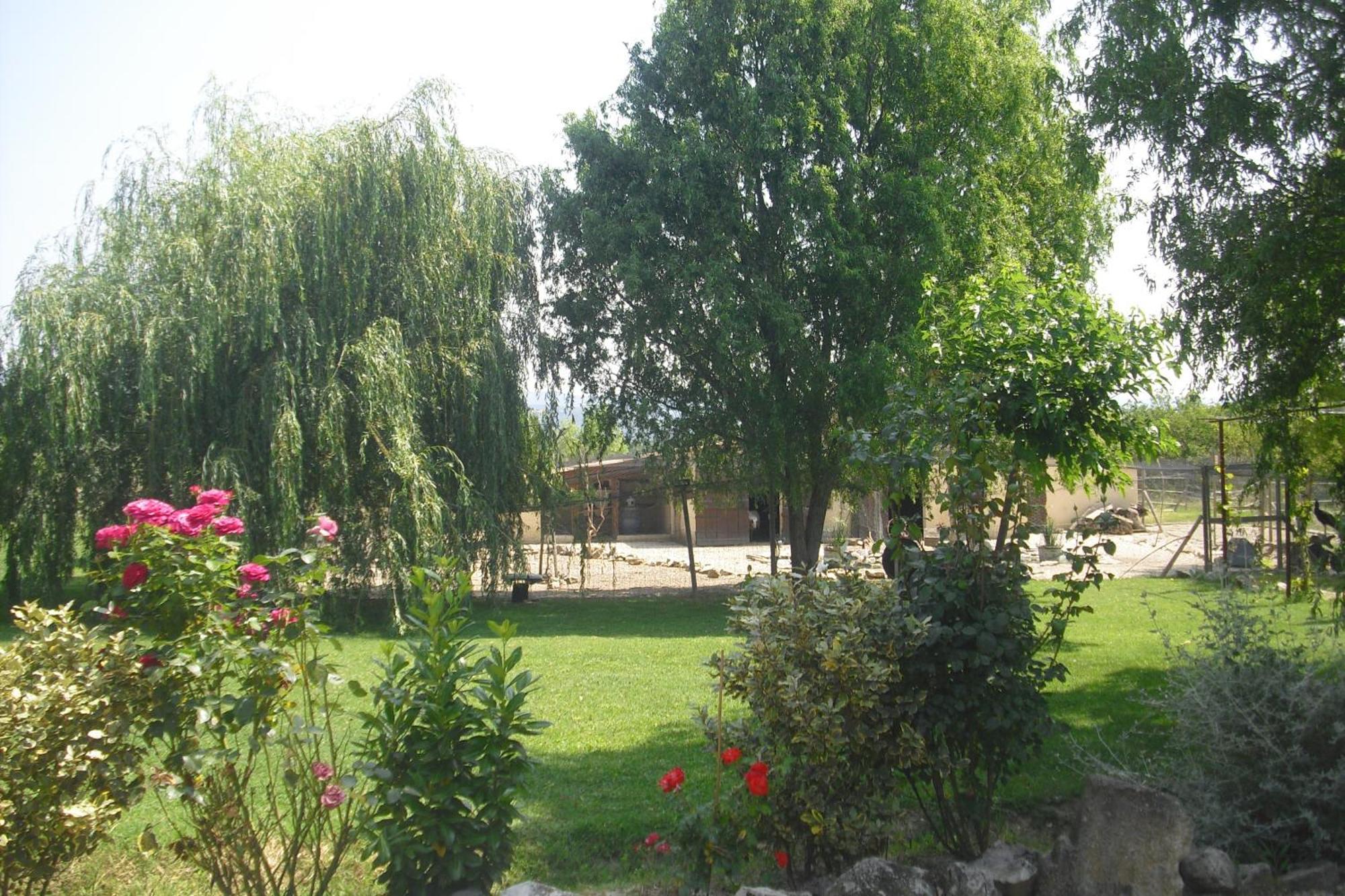 Lou Mas Li Pitchoun "Le Cortassien " Apartment Gordes Exterior photo